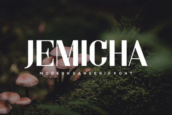 Jemicha: A Clean, Modern Sans Serif Font for Small Business Branding