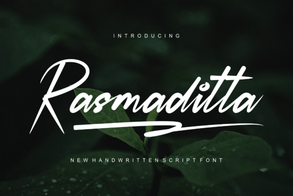 Rasmaditta: A Bold, Authentic Display Font for Editorial Identity
